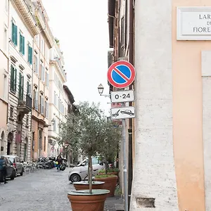 Domus Giulia Róma